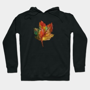 Autumn Hoodie